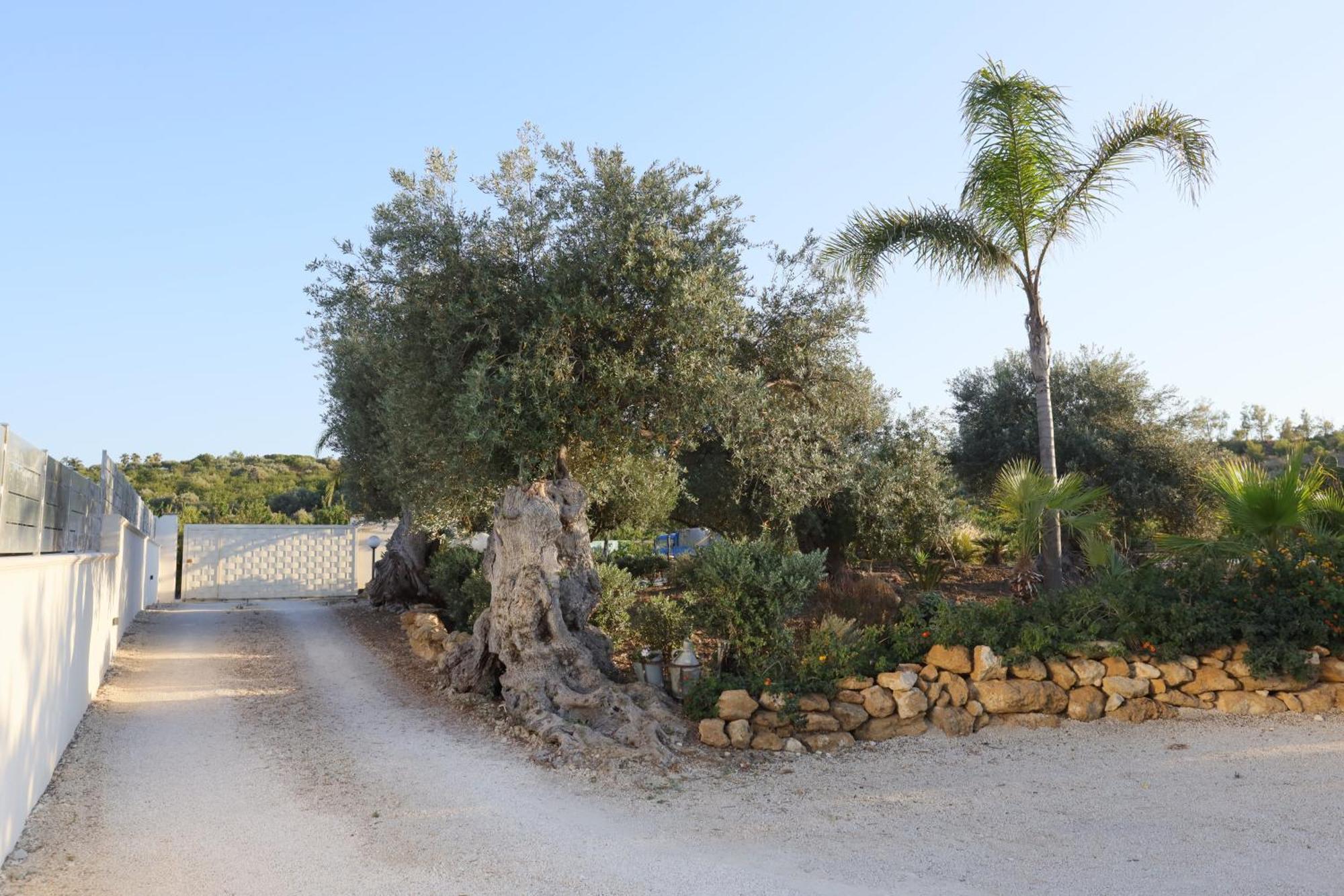 Relais Dea Degli Ulivi Hotel Agrigento Eksteriør billede